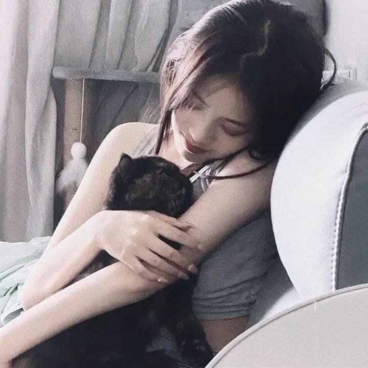百词莫辩 在线观看